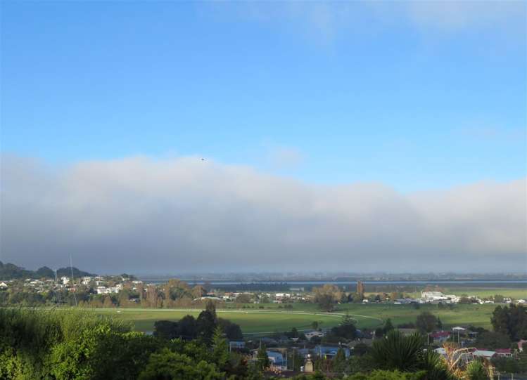 228b Waikiekie Road Thames_21