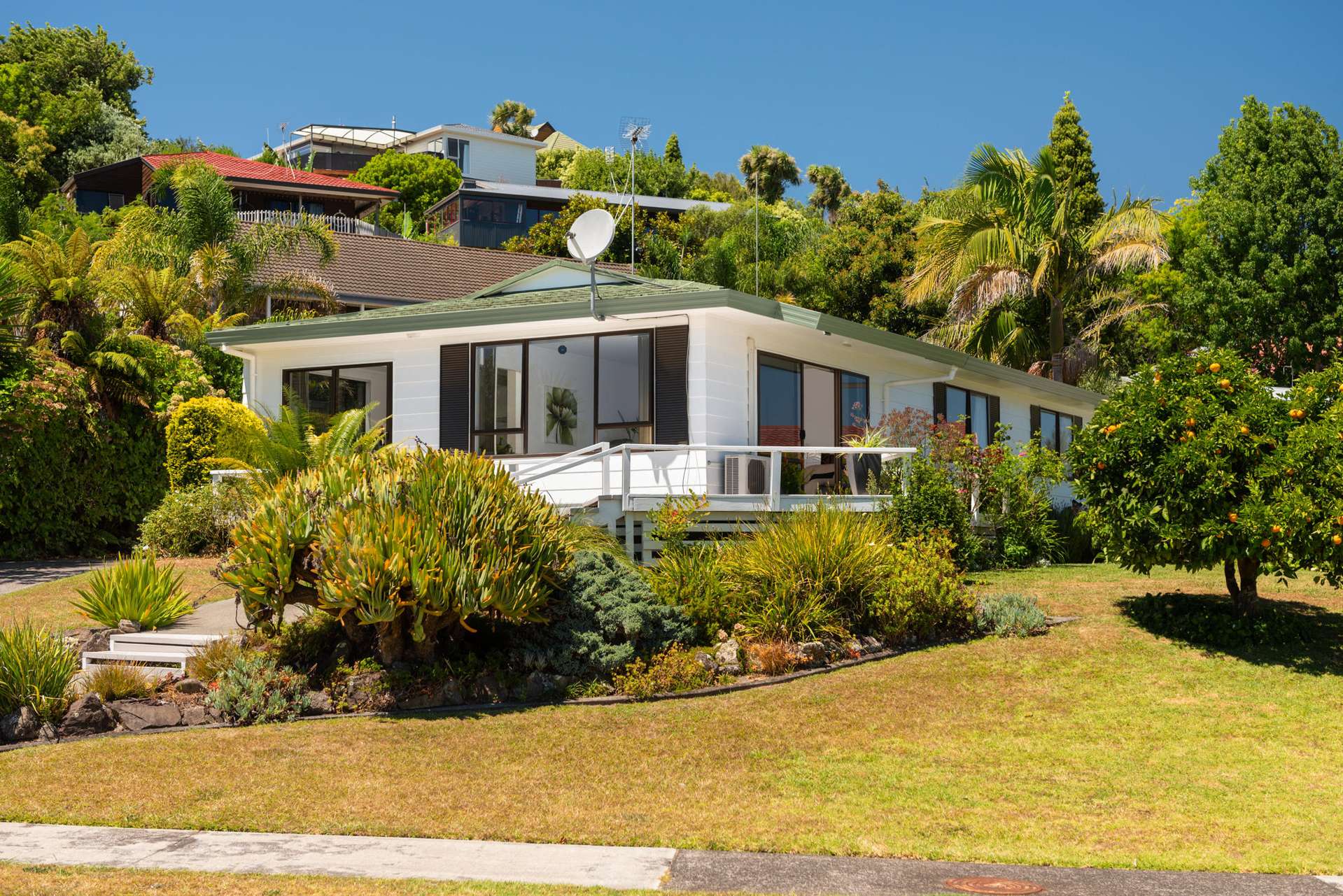 90 Haukore Street Hairini Tauranga Houses for Sale One Roof