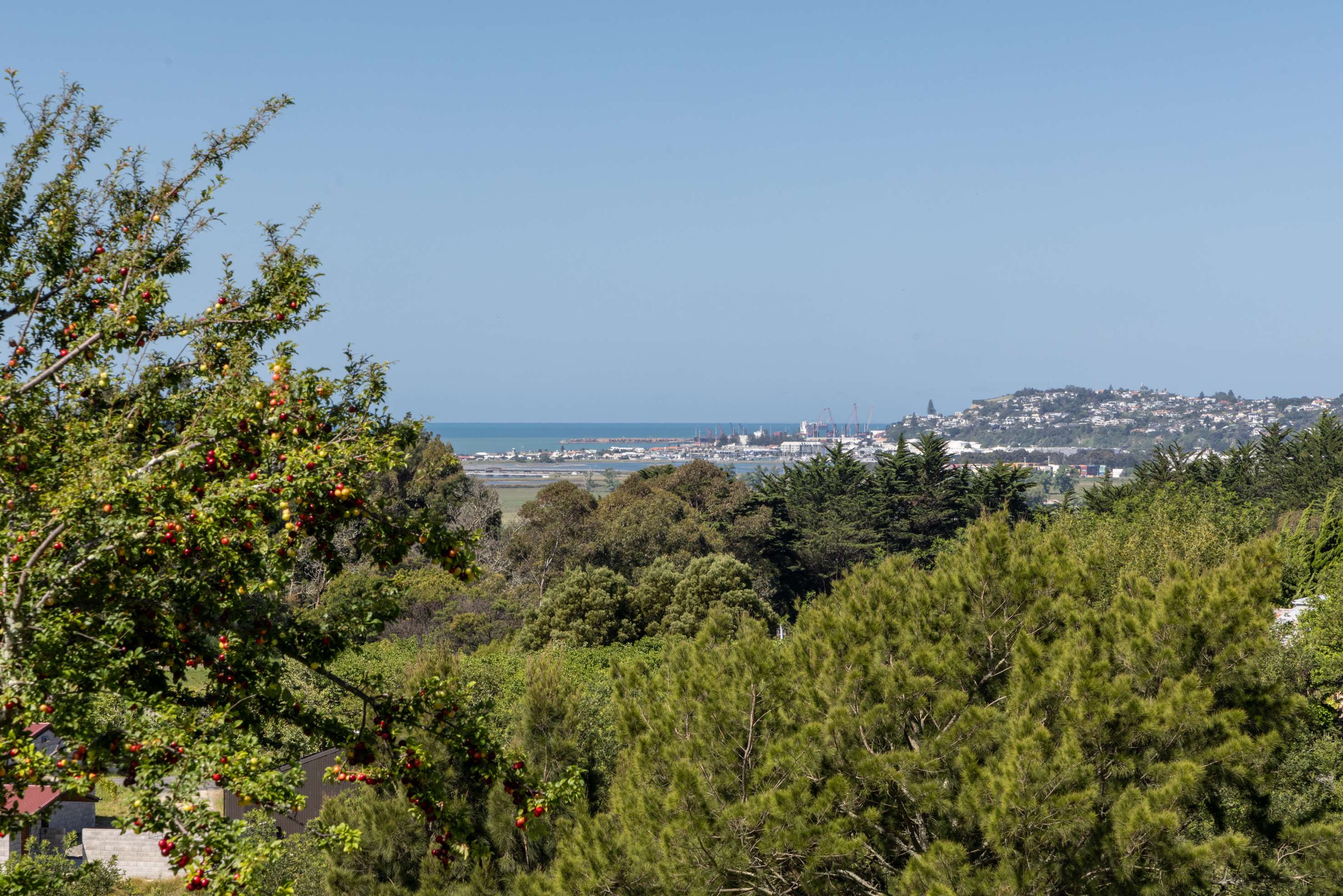 Lot 2/226 Puketitiri Road Poraiti Napier City Houses for Sale