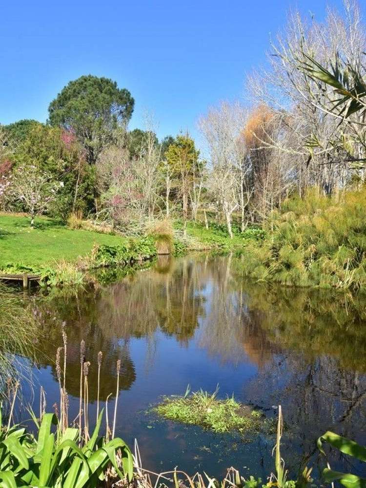 211 Pine Valley Road Dairy Flat_1