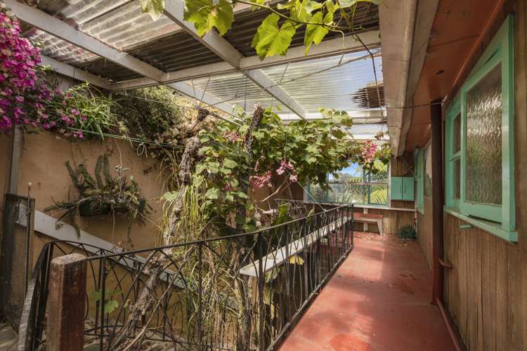 21 Nikau Road Point Howard_13