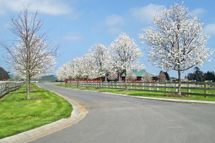 490 Clevedon Kawakawa Road Clevedon_8