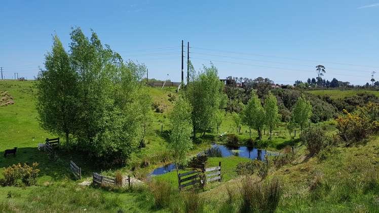 29a Reg Cox Drive Hokitika_13