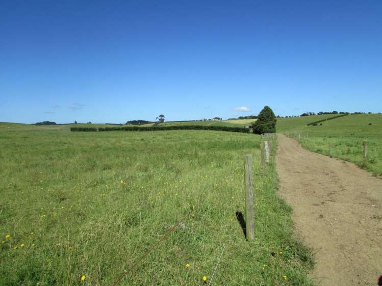 311 Hunt Road Pukekawa_15