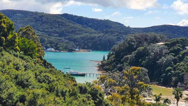 8A Schoolhouse Bay Road Kawau Island_2