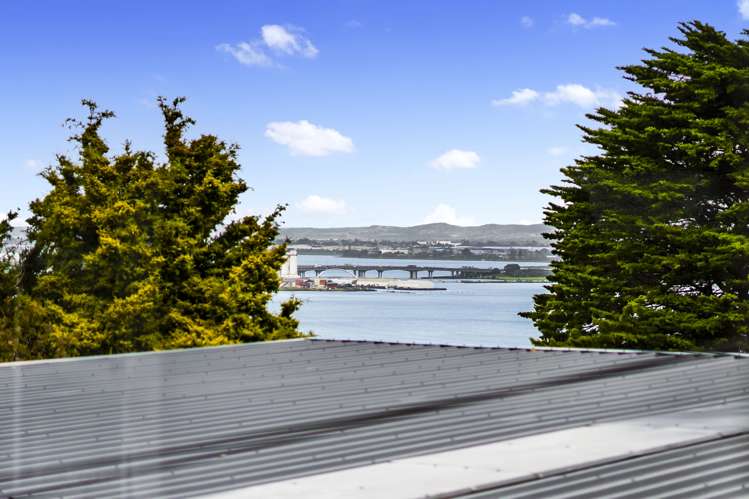 39 Belfast Street Hillsborough_17