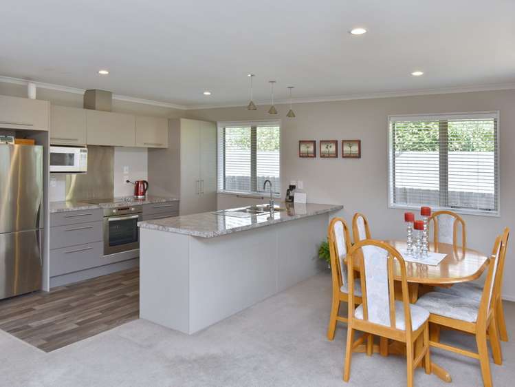 15 Millar Street Sydenham_2