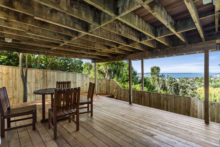 65 Carlton Street Hillsborough_18