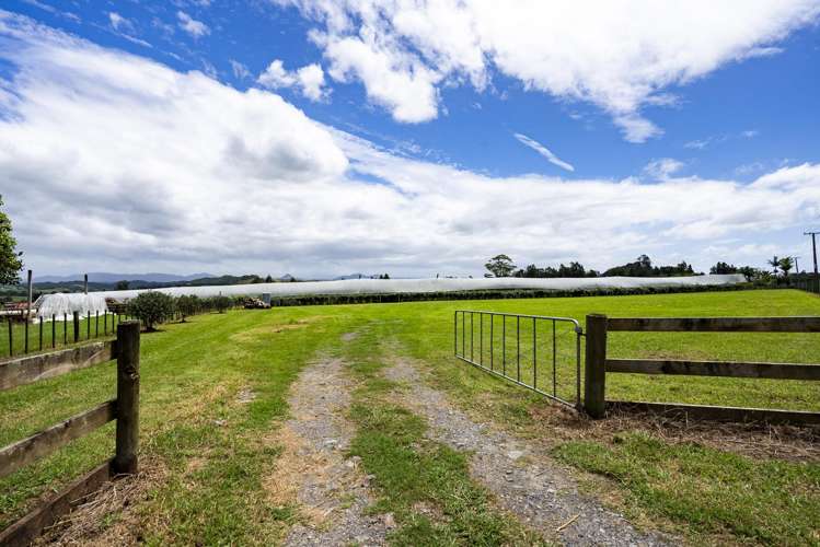 457 Whatitiri Road Poroti_8