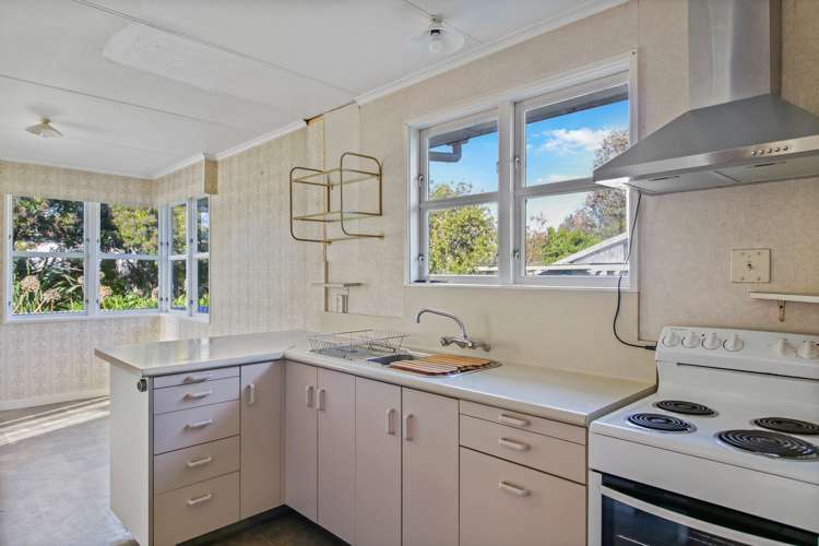 23 Gorton Street Bulls_4