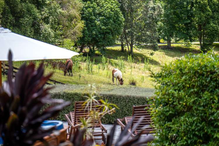 1608E State Highway 10 Kerikeri_18