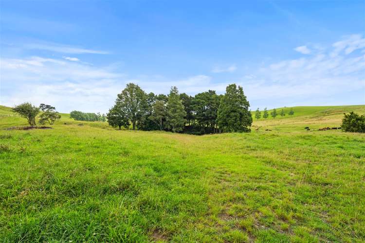 120 Springs Road Poroti_31