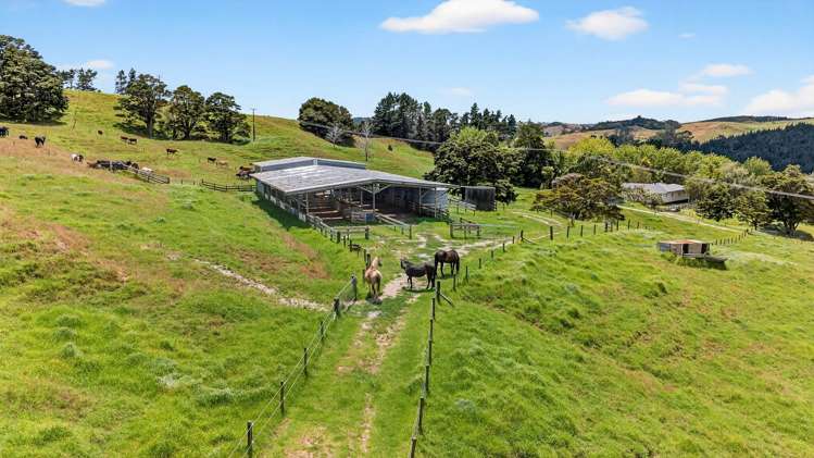 421 Wharehine Road Wellsford_11