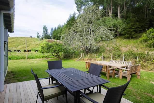 1733 Waingake Road Waingake_1