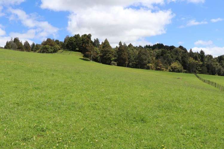 25 Gully Road Pukemiro_14