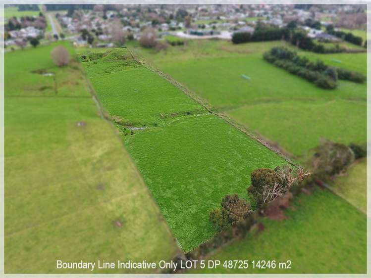 95 Stafford Street Shannon_7