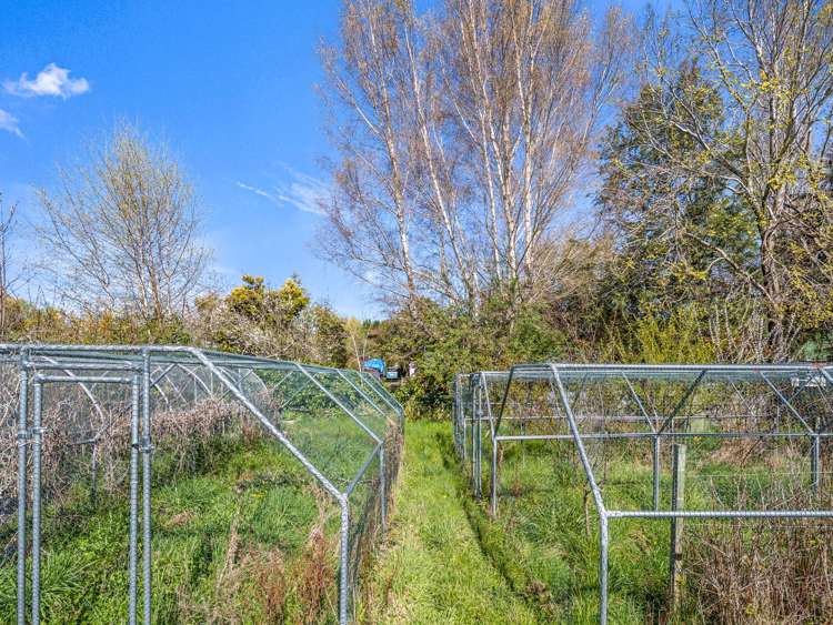 32 Farm Street Lumsden_9