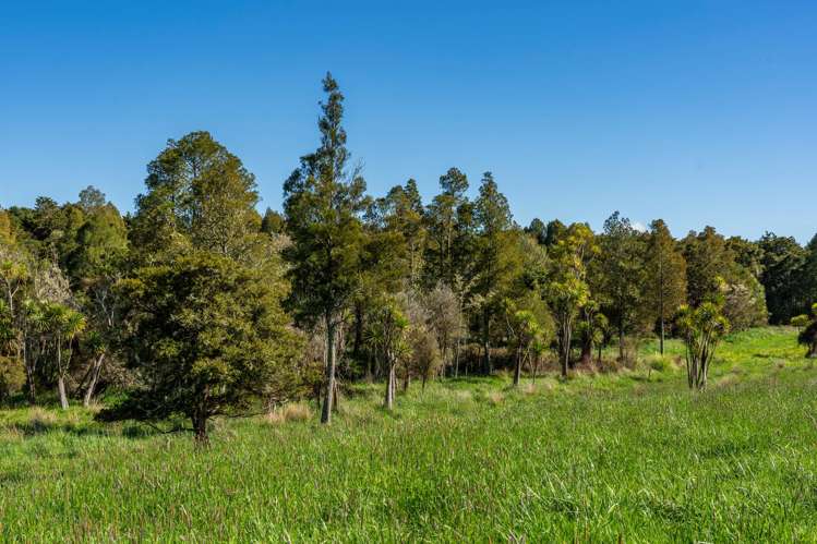 Porangahau Road Wallingford_11