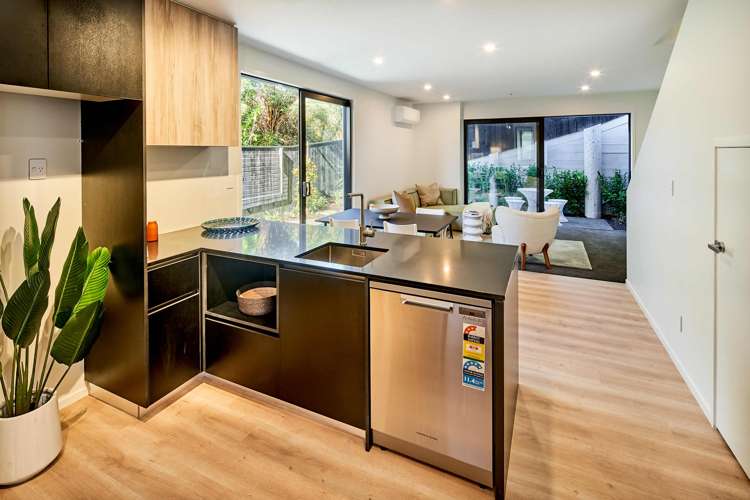 17 Ara Toutouwai Karori_6