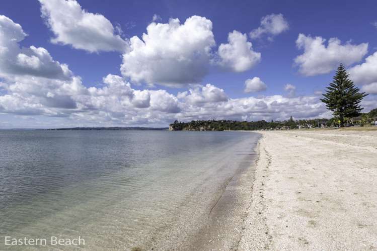 20b Oakwood Grove Eastern Beach_38