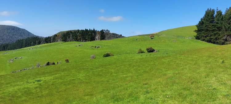 1777 Papatowai Highway Papatowai/Pounawea_10