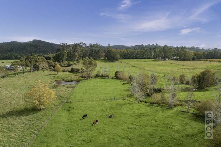 293 Ararimu Valley Road Helensville_33