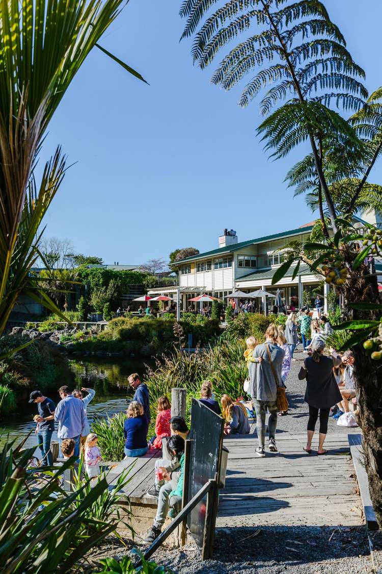 Lot 151/245 Matakana Road Warkworth_6