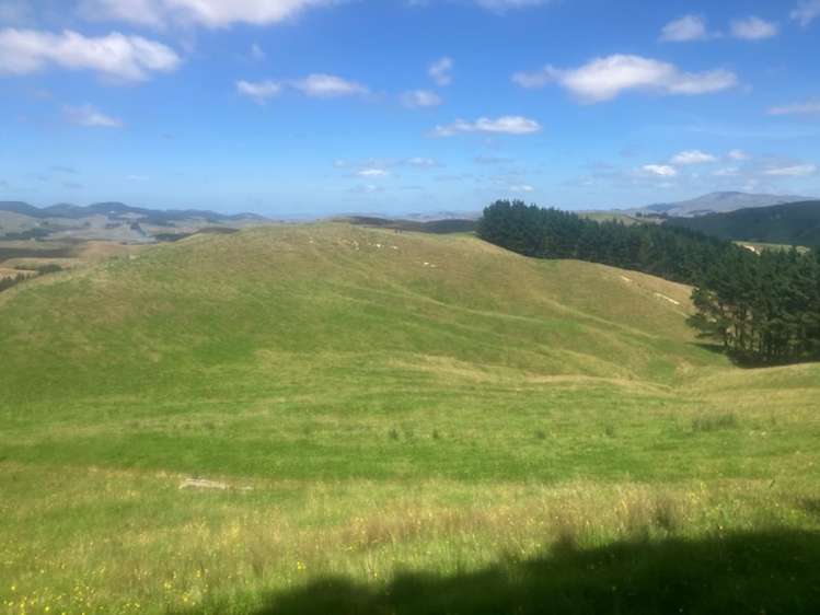 25 Mangamaire Road Dannevirke_6