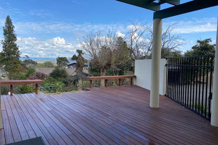 201a Mill Street Thames_14