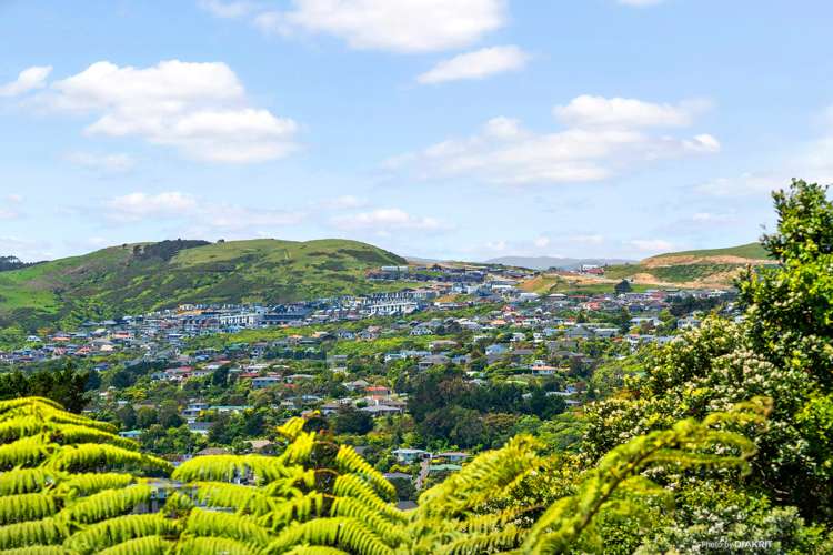 3 Rossport Street Johnsonville_12