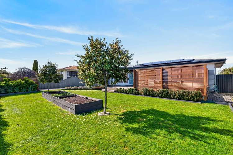 292 Kennedy Road Onekawa_14