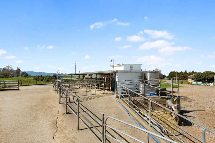 711 Horrell Road Morrinsville_8