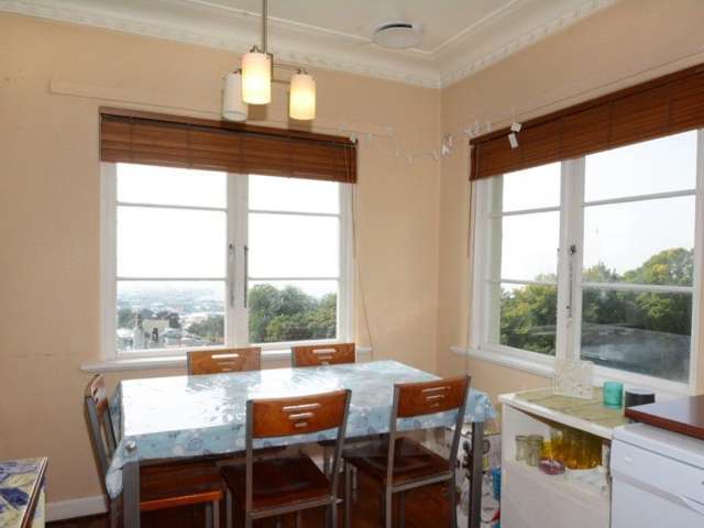 4h Alva Street Dunedin Central_4