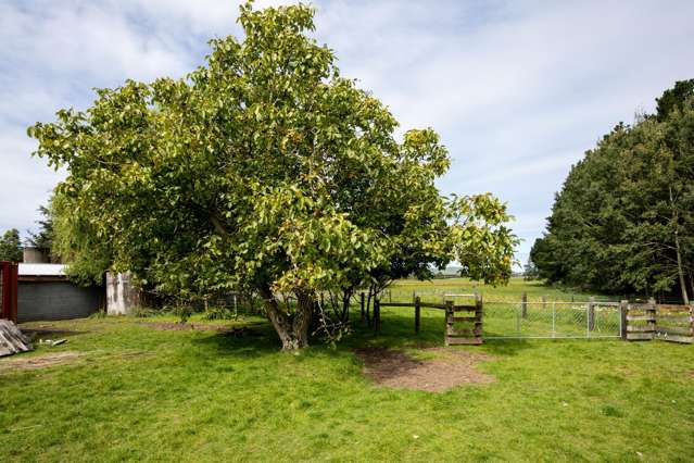 657 Domett Road Domett_2