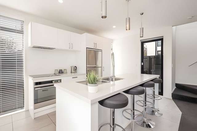 36A Rosewarne Street Spreydon_1
