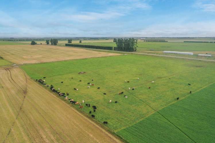 Burnham Road Temuka_5