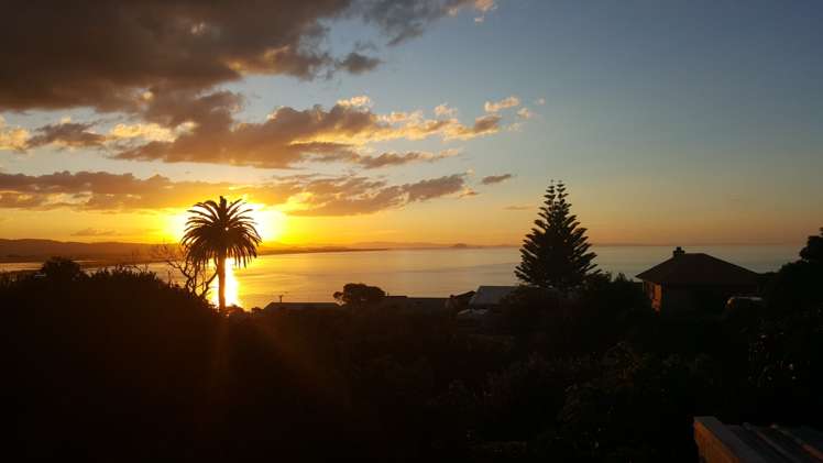 12 Williams Crescent Maketu_25