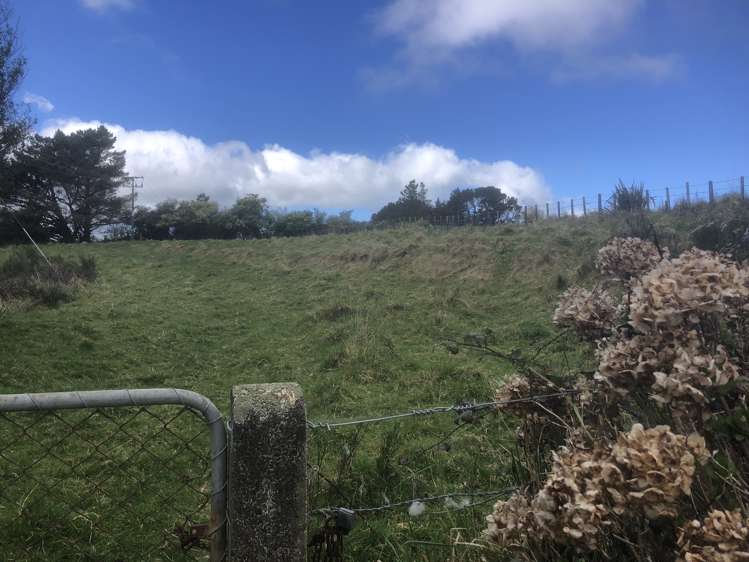 Hengist Street Norsewood_2