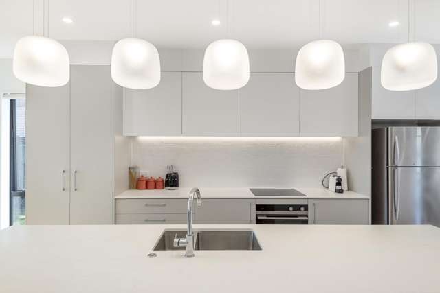 12 Mahinga Kai Way Belmont_1