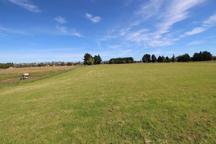 112 Calico Line Marton_70