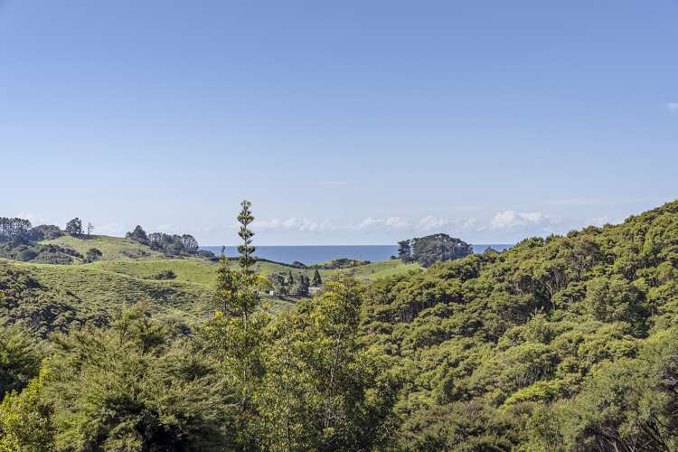 425 Sh25 Kuaotunu-Wharekaho Road Kuaotunu_13