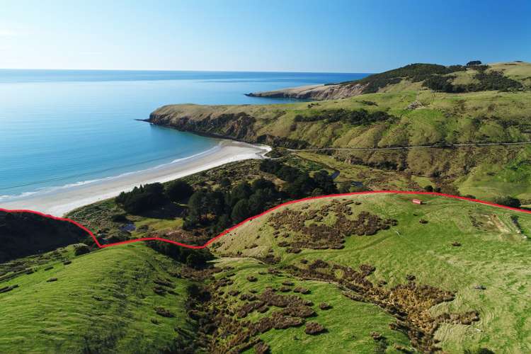 205 Heyward Point Road Heyward Point_15