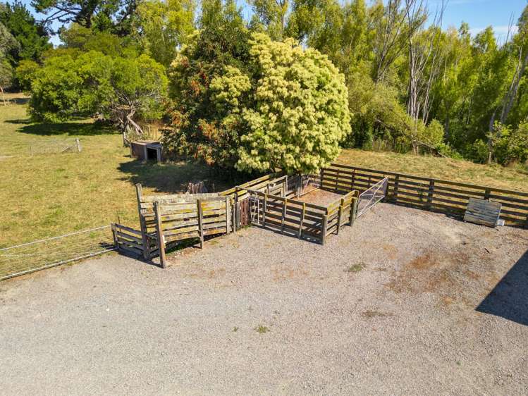 161 Upper Manaia Road Upper Plain_24