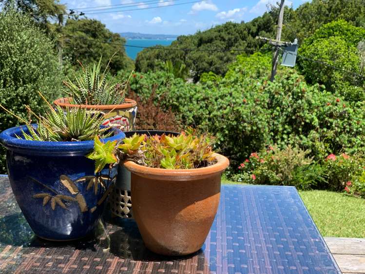 74 Fairview Crescent Omiha_5