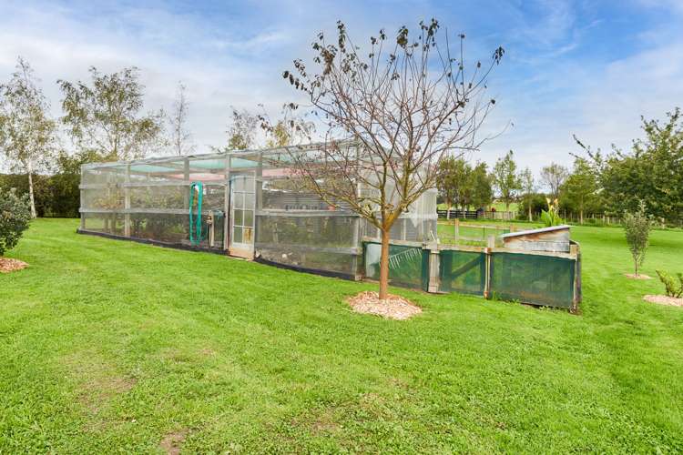 221 Racecourse Road Waipawa_21