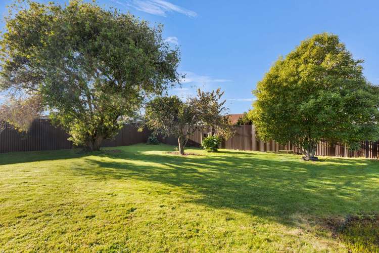 7 Armagh Street Levin_20