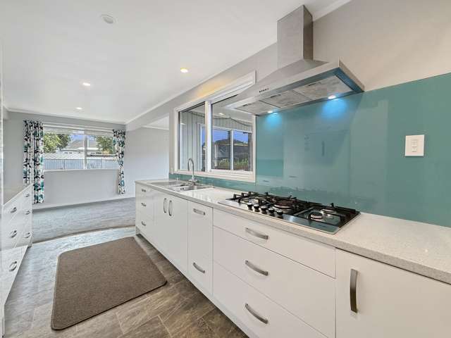 163A Whitaker Street Whataupoko_3