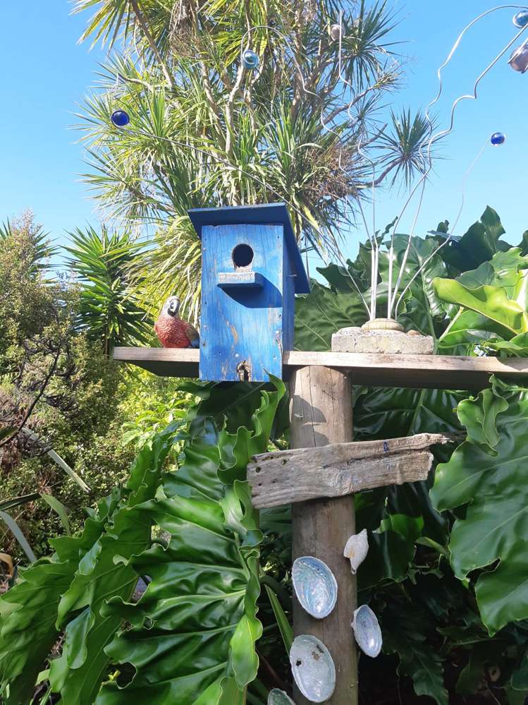 198a Devich Road Mangawhai_24