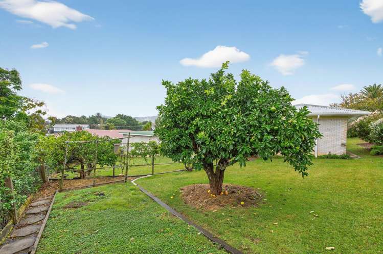 9 McMillan Avenue Te Kamo_29