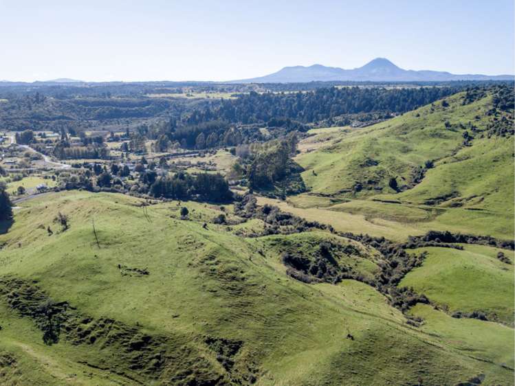 Kaitieke Road Owhango_7